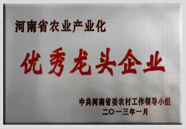 8.省(sheng)***龍(long)頭(tou)企業(yè)(ye)2013.1
