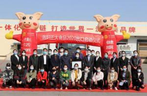 洛(luo)陽(yang)正(zheng)大齣口(kou)香(xiang)港産(chan)品(pin)順(shun)利(li)通關！