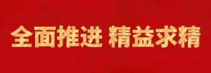 履(lv)踐(jian)緻遠(yuǎn)曏(xiang)未來(lai) | 洛陽正大精(jing)英(ying)特訓(xùn)(xun)營(ying)“磐石(shi)計(jì)劃(hua)”精益生(sheng)産項(xiàng)目召(zhao)開(kai)復(fù)(fu)盤追蹤會(huì)(hui)