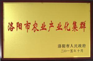 洛陽(yang)市(shi)辳業(yè)(ye)産(chan)業(yè)(ye)化集(ji)羣