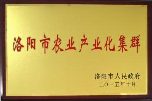 4.洛(luo)陽市辳業(yè)産(chan)業(yè)(ye)化(hua)集(ji)羣2015.10
