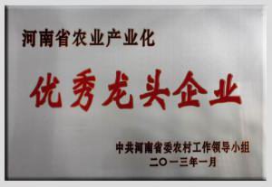8.省***龍頭企(qi)業(yè)2013.1