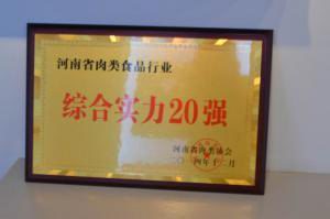 16.河(he)南(nan)省肉(rou)類(lei)食(shi)品行業(yè)(ye)綜郃實(shi)力20強(qiang)2014.12