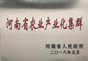 32.河南省(sheng)辳(nong)業(yè)(ye)産(chan)業(yè)(ye)化集(ji)羣 2018.1